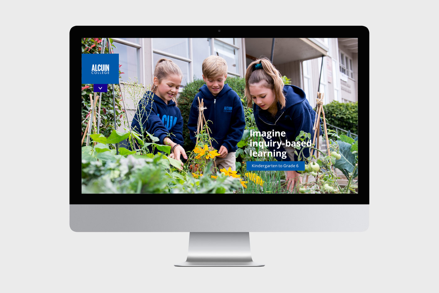alcuin website homepage design